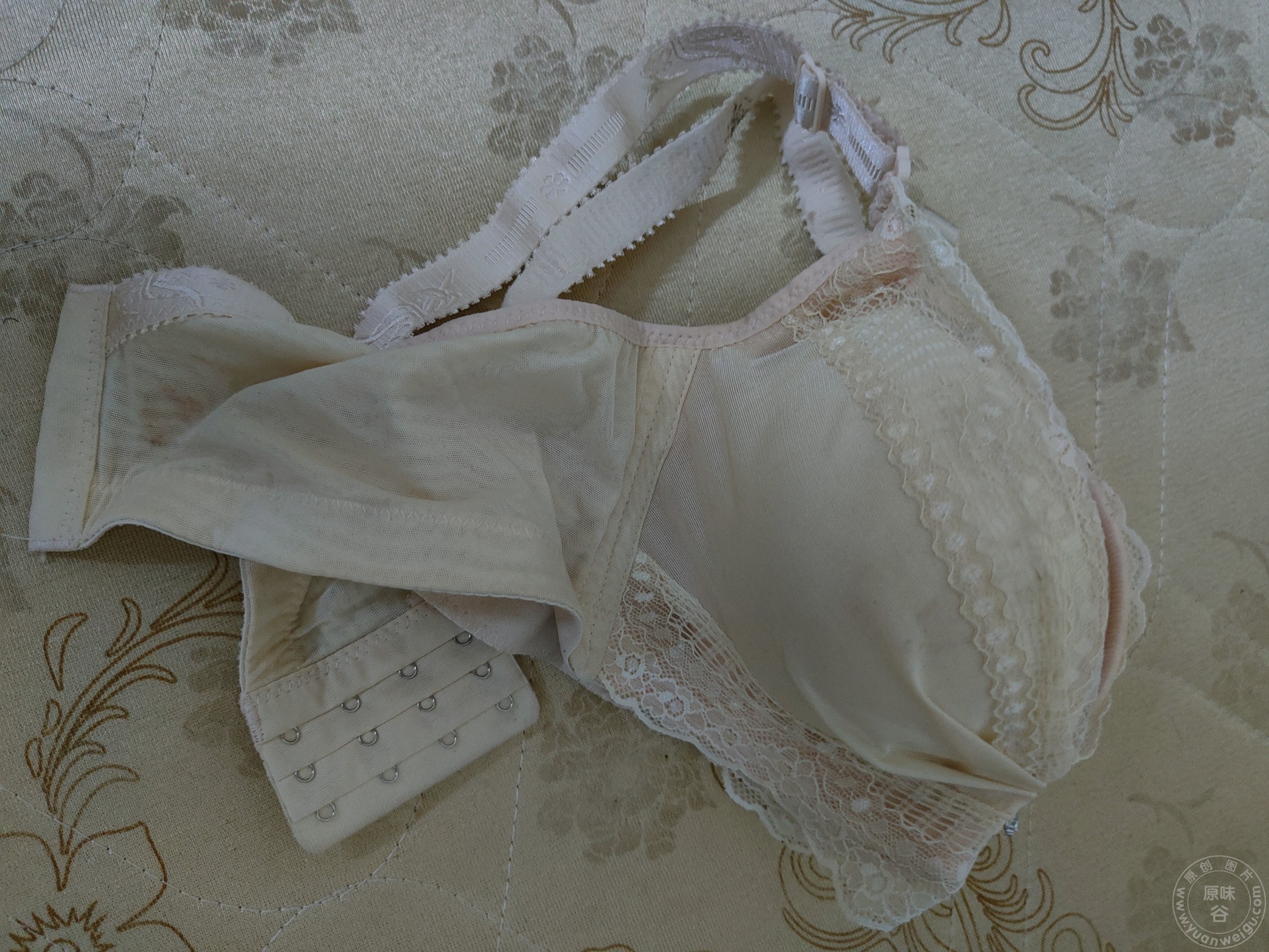 conew_img20220822020813.jpg