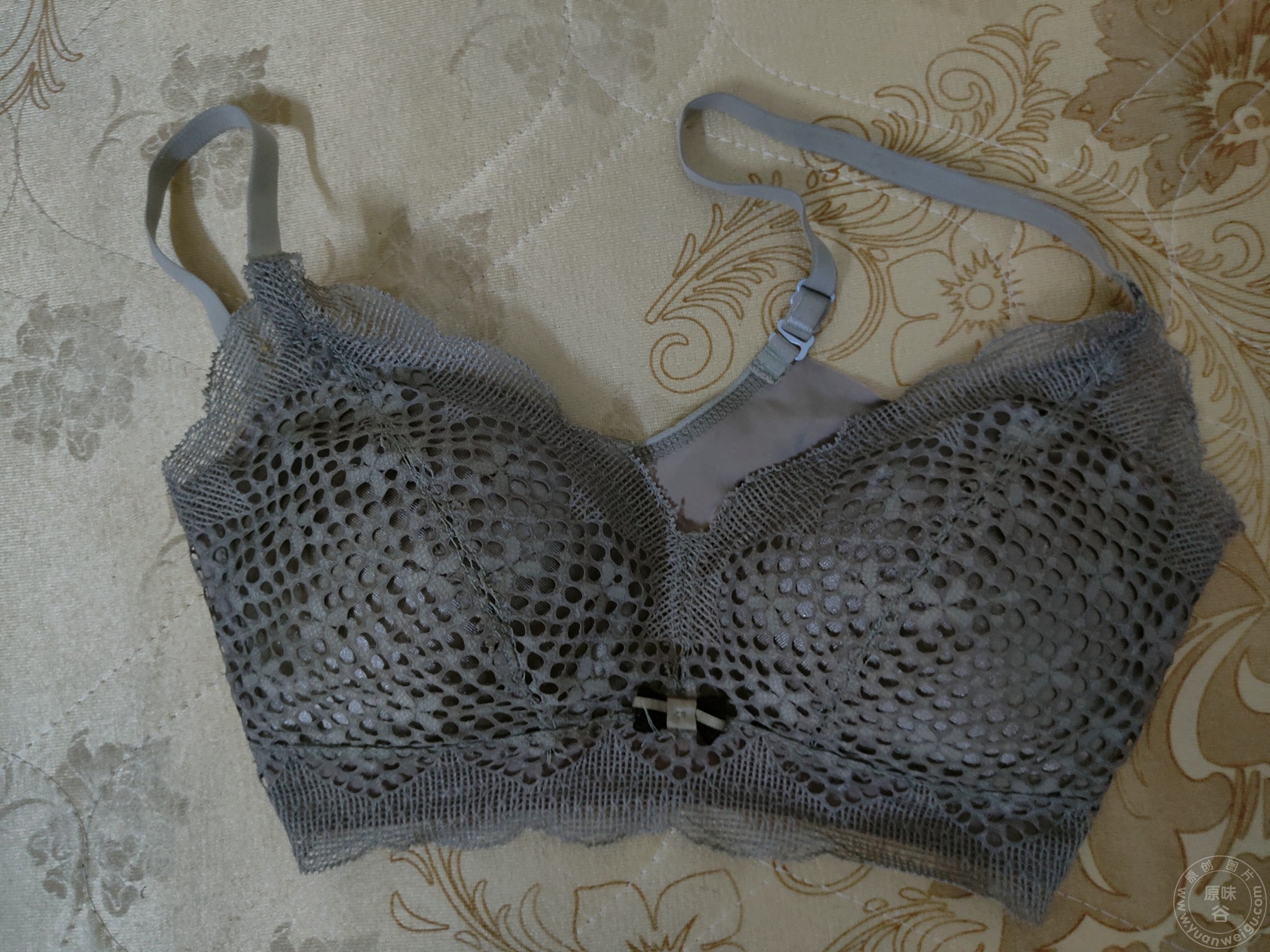 conew_img20220822020711.jpg